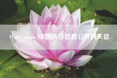 慈溪中国执行信息公开网失信