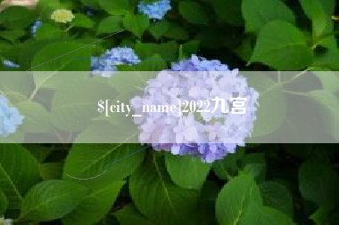 慈溪2022九宫