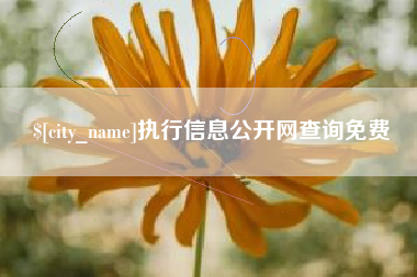 慈溪执行信息公开网查询免费