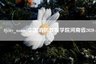 慈溪中国消防救援学院河南省2020